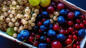 Vitamins are an essential element of our diet-21b253de