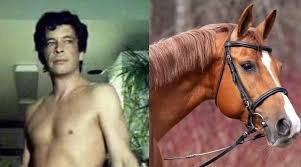 Understanding Horse Pornography Laws: Legal Penalty, Ethical Challenges, and Consequences