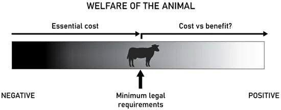 Understanding Horse Pornography Laws: Legal Penalty, Ethical Challenges, and Consequences
